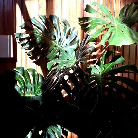 Residencial Moderna Hostel