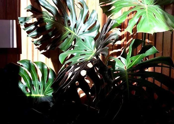 Residencial Moderna Ostello